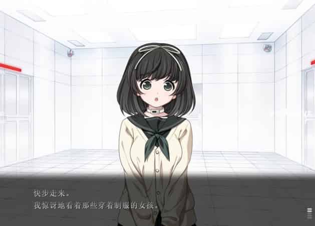 【ADV】Euphoria北美高清中文魔改重置版+全CG存档[PC+7G]-95次元