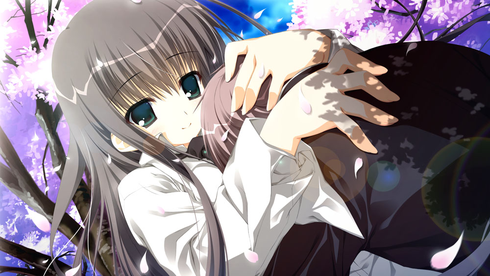 【AVG】樱之诗：在樱花之森上飞舞～中文版[PC+安卓+5.5G]