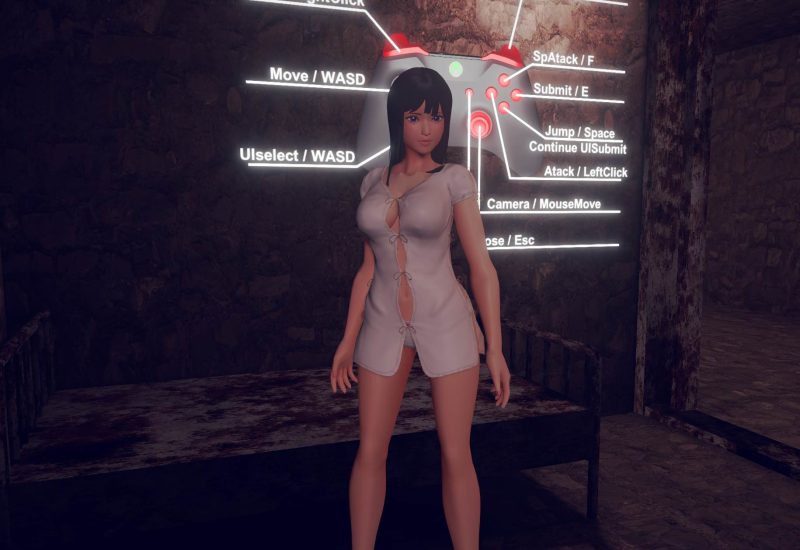 【ACT】PainRe: In V0.073 官方中文重制版[PC+安卓]-95次元