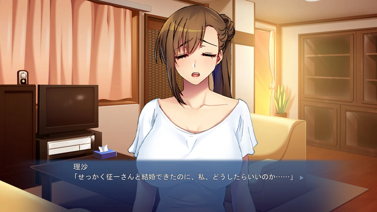 【ADV】大嫂不会拒绝我的 AI汉化+全CG存档[PC]-95次元