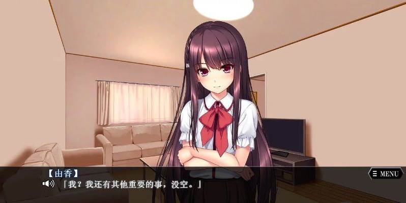 【ADV】妹快乐堕落：被哥哥强行监禁~完整汉化版+全CG存档[PC+1.6G]-95次元
