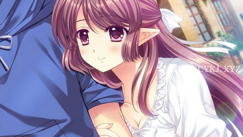 【AVG】公主×公主：Princess × Princess V1.03~全线精翻汉化[PC+3G]