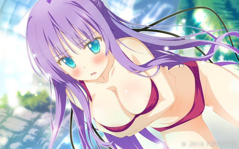 【AVG】星辰恋曲的白色永恒Finale V2.0~汉化中文番外最终版+全CG存档[PC+5.8G]-95次元