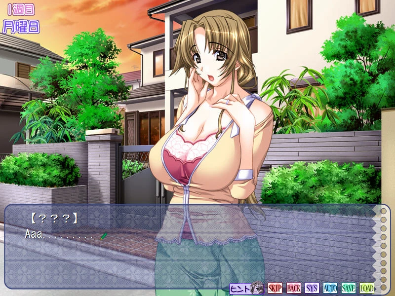 【ADV】Doki Doki Oyako Lesson ~Oshiete ♪ H na Obenkyou~AI汉化[PC]