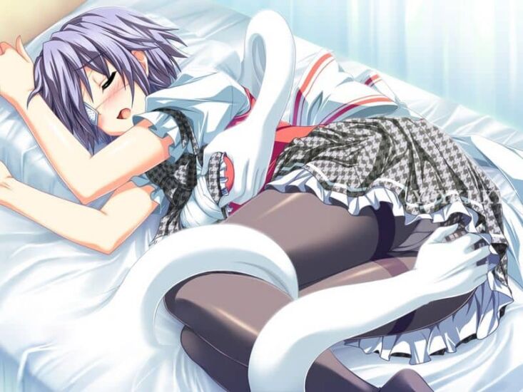 【SLG】变成胖次~官方日文原版+全CG动画包+前作+存档[PC+6.5G]