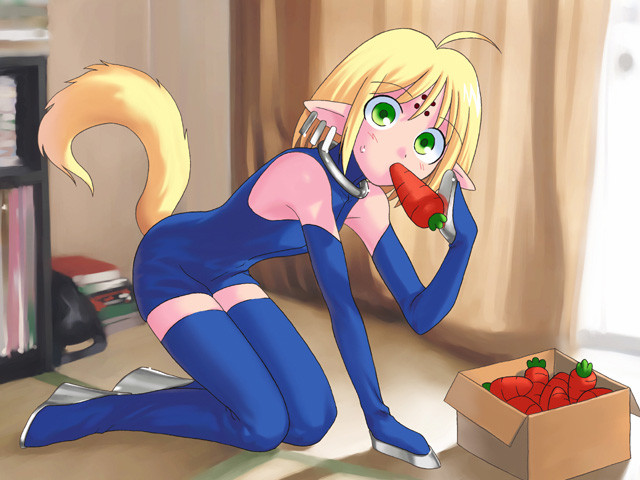 【AVG】歌月十夜~中文版[PC+ONS+300M]