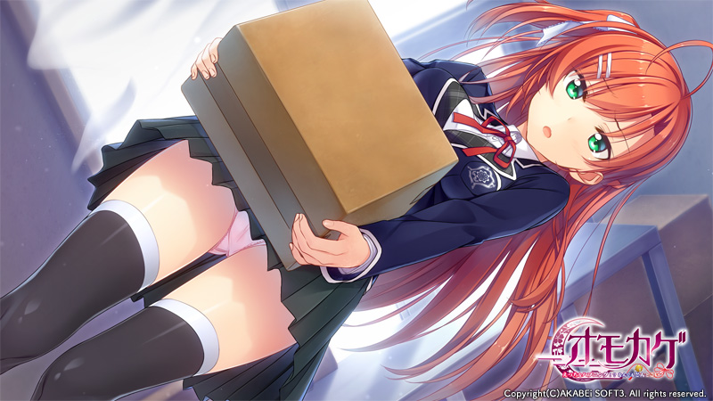 【ADV】有趣的意外事件~精翻汉化[PC+安卓KR+3.4G]