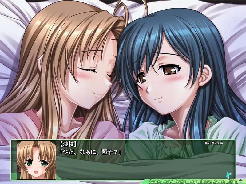 【ADV】魔法少女沙枝DX Mahou Shoujo Sae AI汉化[PC]