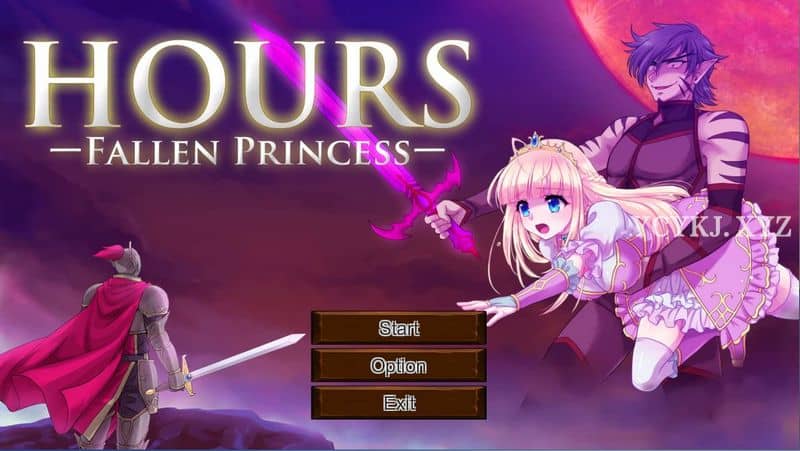 【ACT】堕落公主V1.01~官方原版[PC+2.5G]-95次元