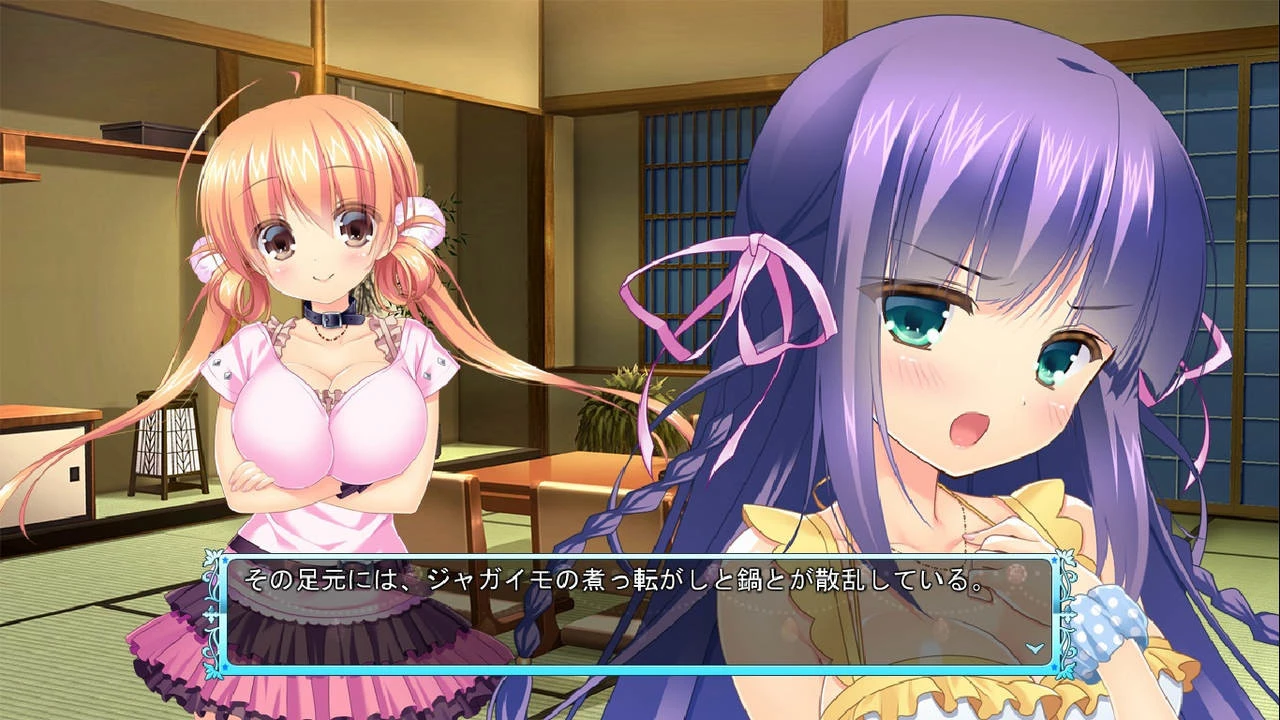 图片[1]-【ADV】棱镜公主～两位公主骑士和腿间的纹章～AI汉化+存档[PC+3.3G]-95次元