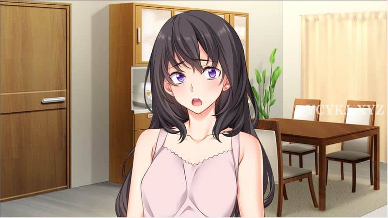 【ADV】敏感妻子和谎言2 V1.1~GPT润色汉化[PC+1.5G]-95次元