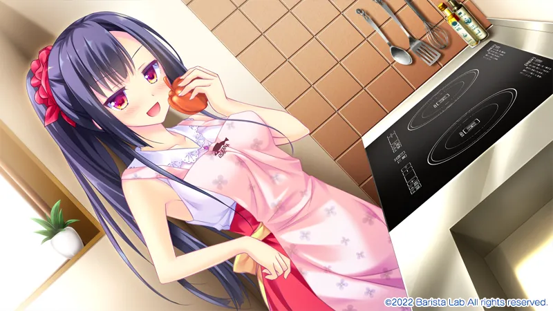 【AVG】天空的蓝与白：如梭夏日~官方中文[PC+3G]-95次元