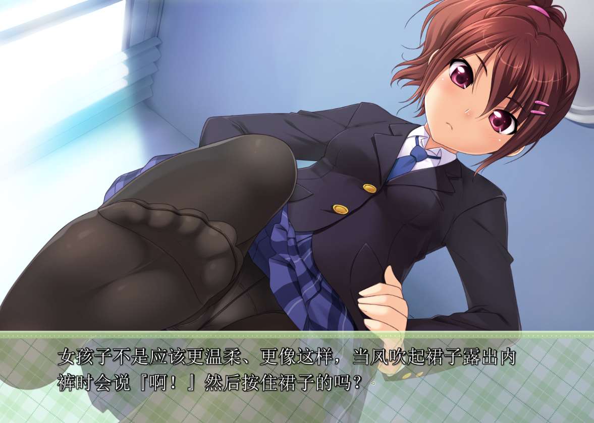 【ADV】接缝めばえ~AI汉化版+全CG存档[PC+2.24G]-95次元