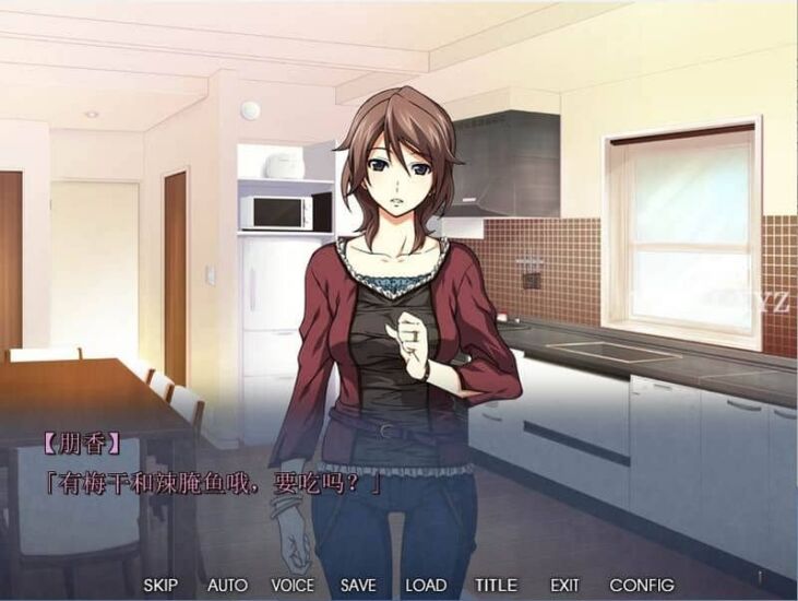 【ADV】最爱的妻子在其他男人的臂弯中微笑~精翻汉化[PC+600M]-95次元