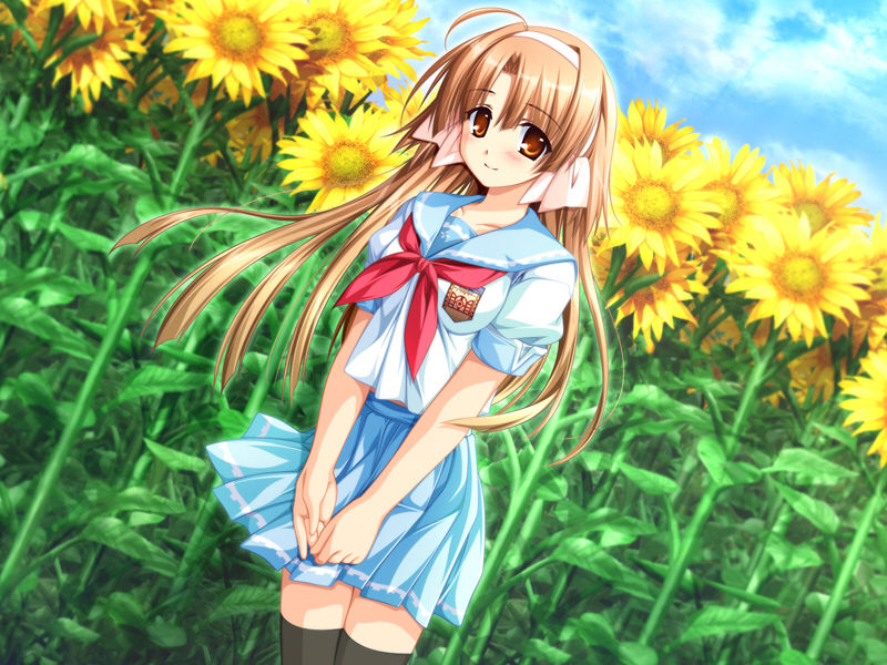 【AVG】车轮之国、悠久的少年少女~中文版[PC+1.1G]