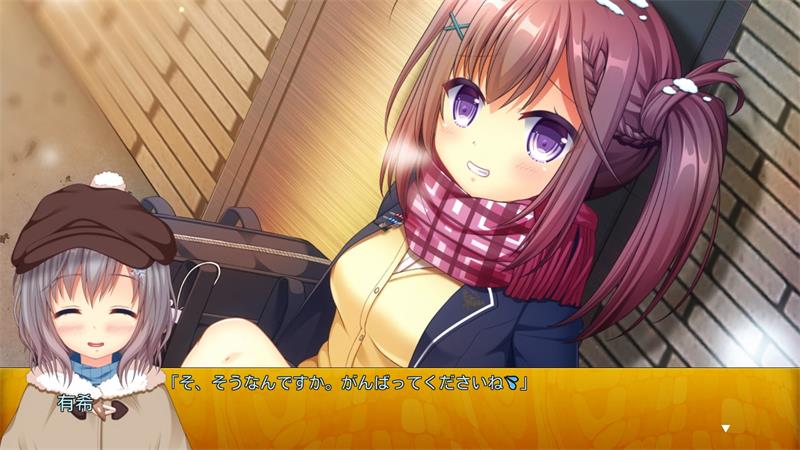 【AVG】一个下雪的夜晚~AI汉化+全CG存档[PC]