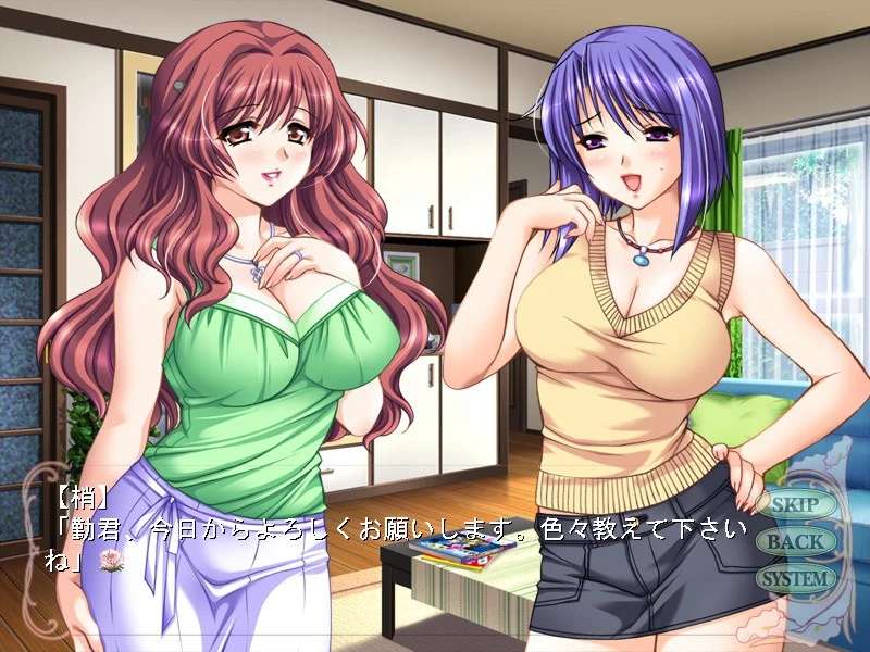 【ADV】胡闹的嫂子 Aniyome wa Ijippari AI汉化+全CG存档[PC]