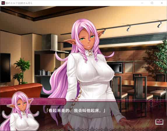 【ADV】我的精灵姐姐~AI汉化版+全CG存档[PC+1.1G]-95次元