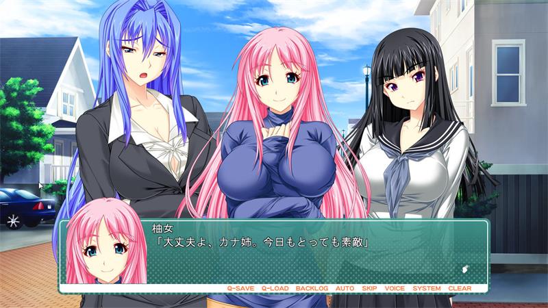 【ADV】姐姐只有胸部大这一个特点 Oppai Igai ga Dame Sugiru Ane AI汉化+全CG存档[PC]