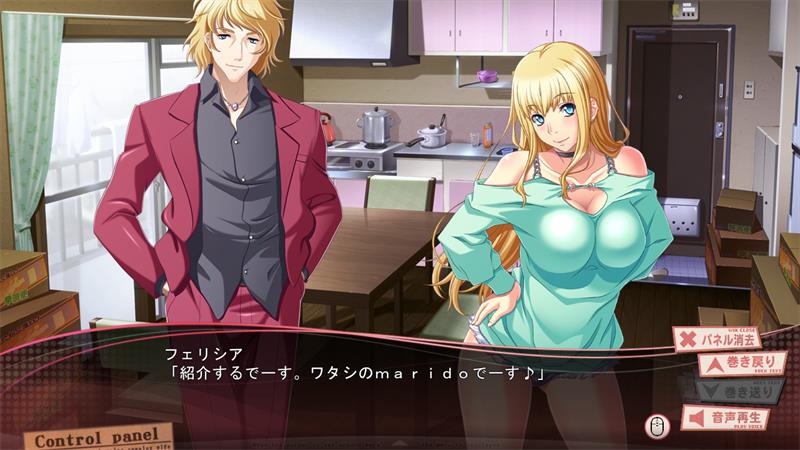 【ADV】Fun with the Apartment Wives AI汉化+全CG存档+特典[PC]