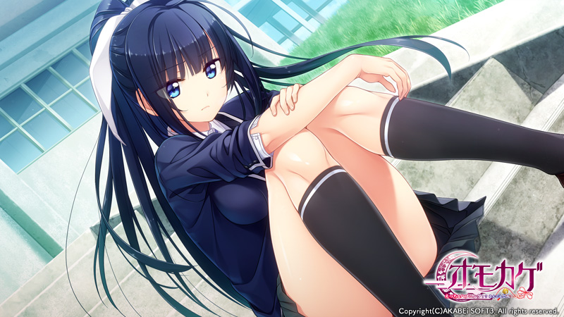 【ADV】有趣的意外事件~精翻汉化[PC+安卓KR+3.4G]-95次元