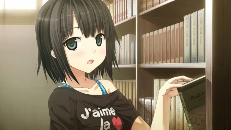 【ADV】茂伸奇谈：Happy End~中文版[PC+安卓kr+9G]