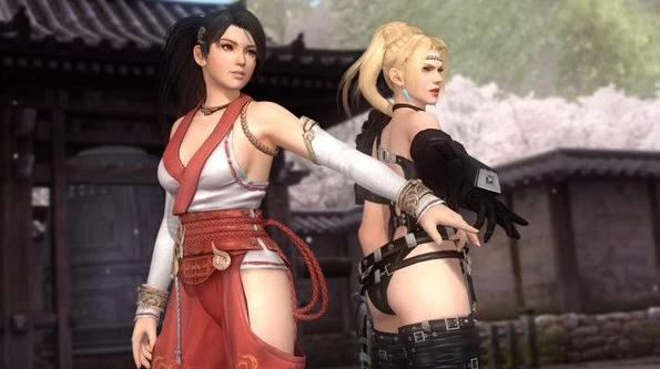【ACT】死或生5：最后一战-DEAD OR ALIVE 5  V1.10C+73DLC~中文版[PC+12G]-95次元