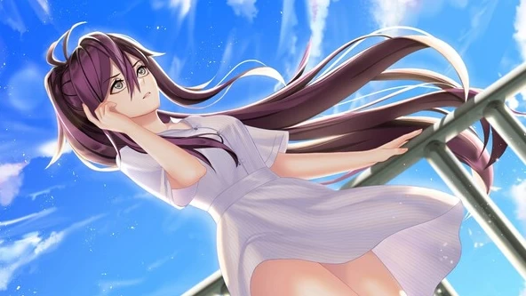 【ADV】我的夏日冒险：另一种生活的回忆~官方中文[PC+600M]-95次元