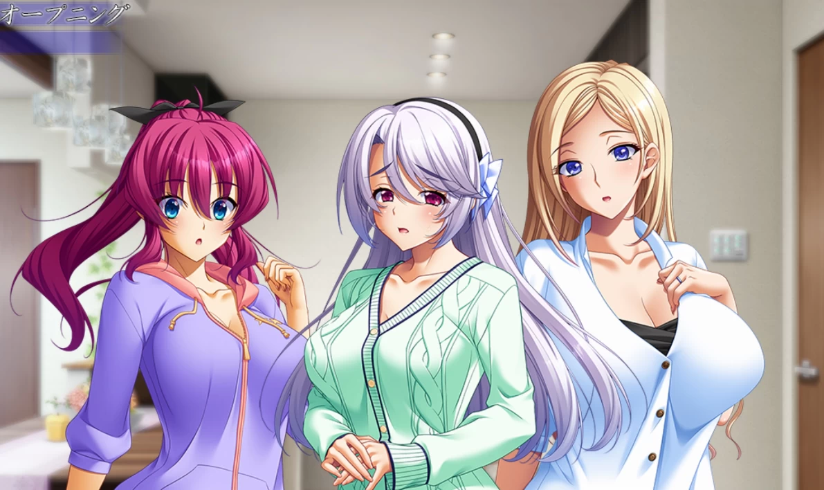 【ADV】家属~AI汉化+全CG存档[PC+4.7G]-95次元