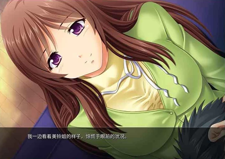 【ADV】透明人间 Ver1.3.0~官方中文[PC+800M]-95次元