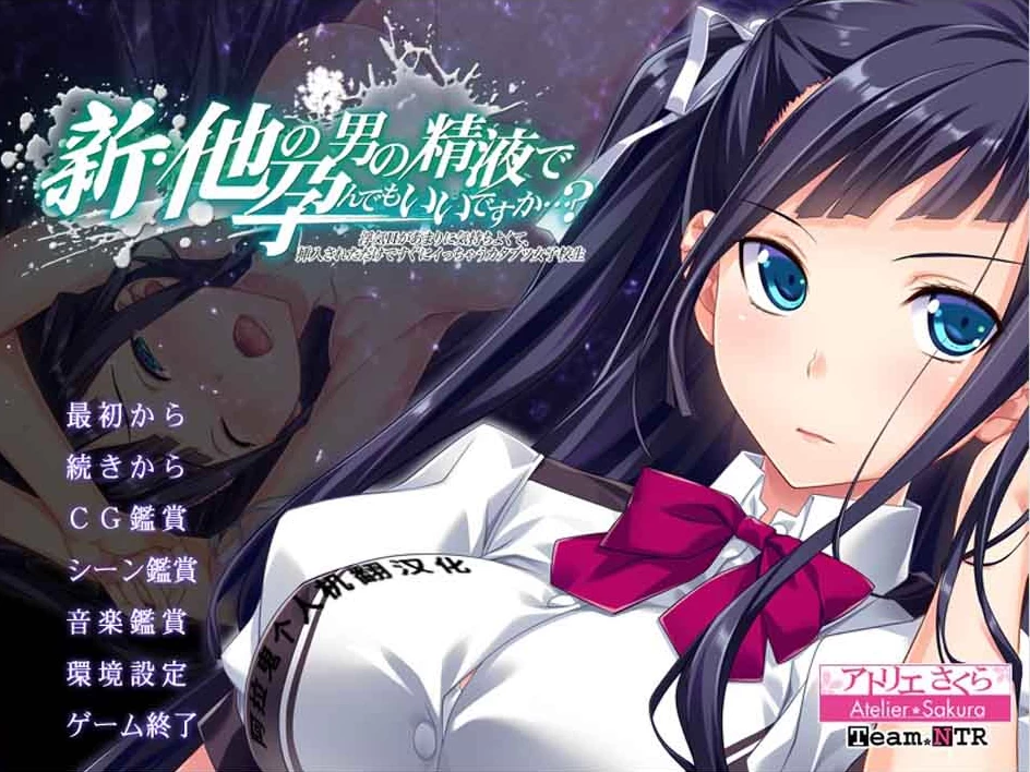 【ADV】其他男人的宝宝1-3合集~汉化中文+全CG存档[PC+4G]-95次元