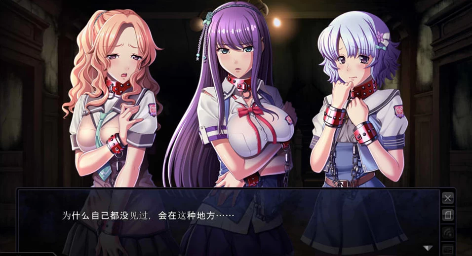 【ADV】危险的复仇-黑暗站点~AI汉化+全CG存档[PC+3.2G]