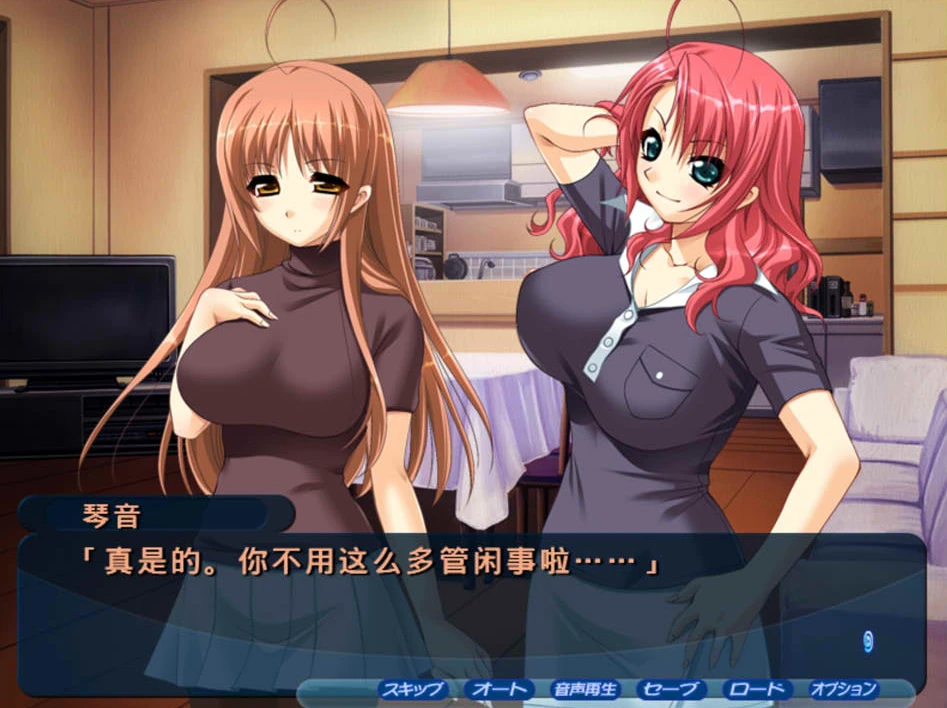 【ADV】姐姐＠大师-姐姐大师-AI汉化+全CG存档[PC+3G]