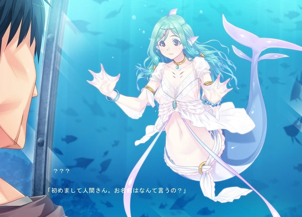 图片[1]-【ADV】魔物娘之家-彗星馆的不法分子～人鱼篇～AI汉化+存档[1G]-95次元