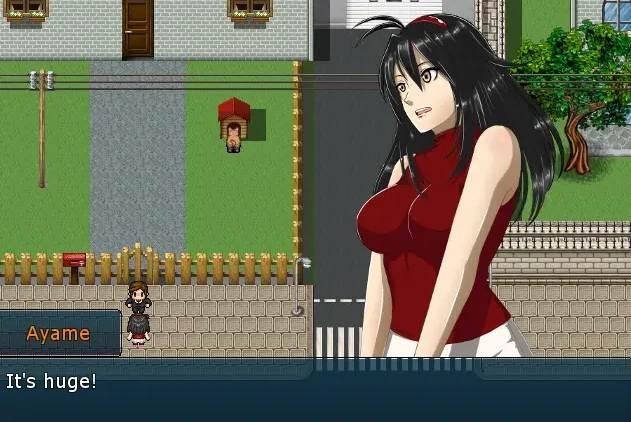 图片[1]-【SLG】转瞬即逝的鸢尾花：Fleeting Iris~中文版[安卓]-95次元