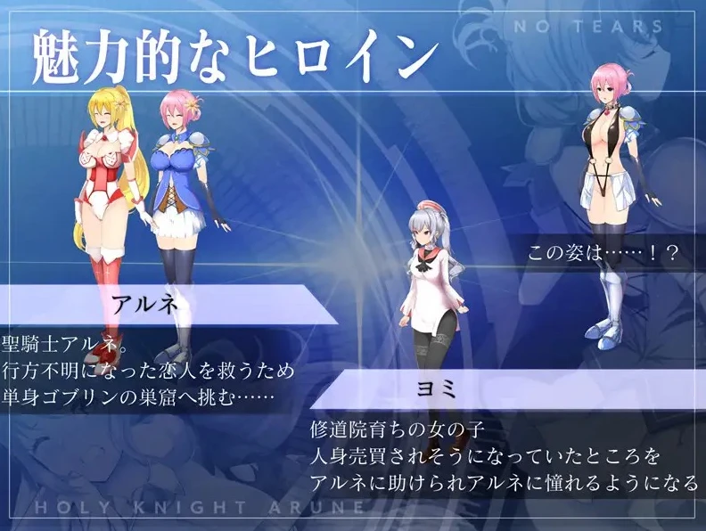 图片[1]-【ACT】圣骑士阿恩与魔王的诅咒封印～官方正式版+存档-95次元