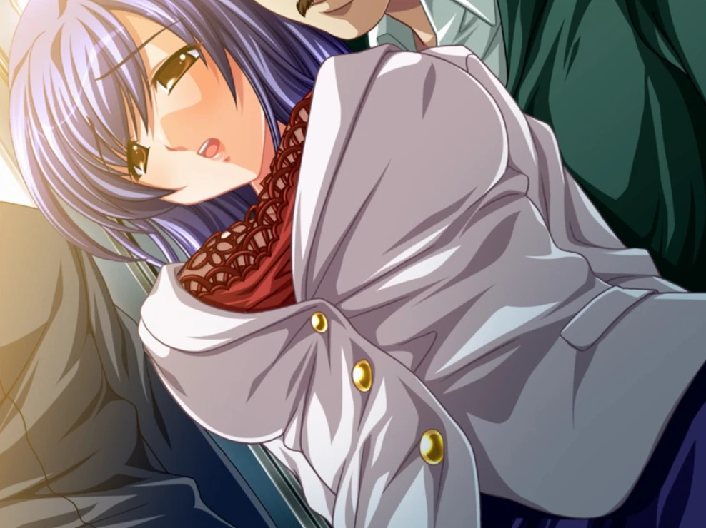 图片[1]-【ADV】特殊委托 AI汉化版+全CG存档-95次元