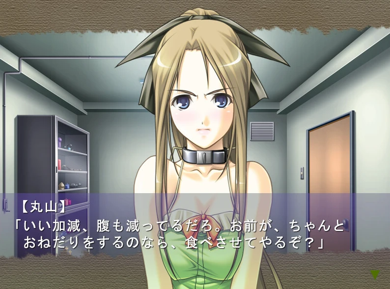 图片[1]-【ADV】偶像独奏会~偶像日志~AI汉化版+全CG存档-95次元