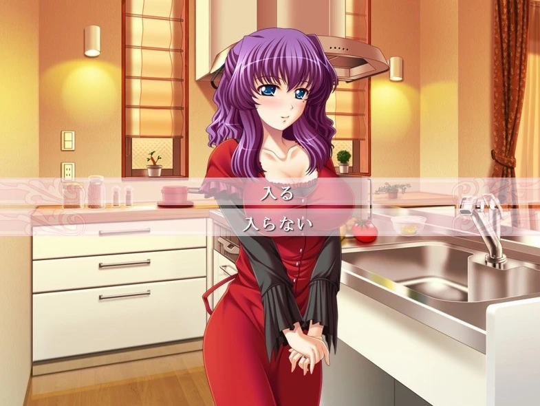 图片[1]-【ADV】姐弟之间的秘密 AI汉化+全CG存档-95次元