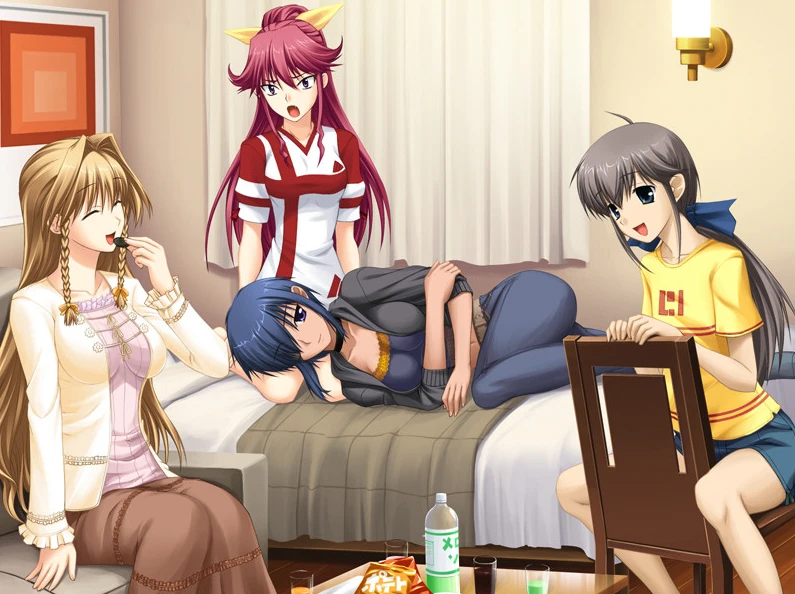 【ADV】你是主人，我是管家。AI汉化+全CG存档[PC]