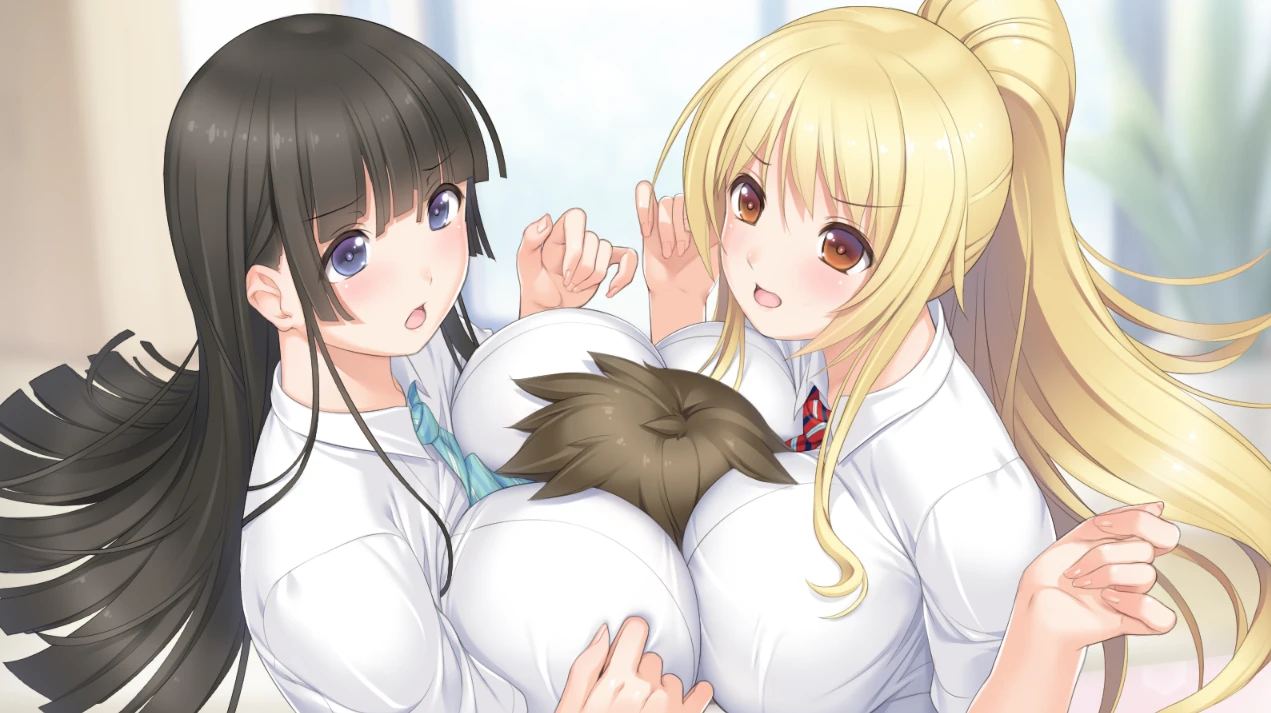 【ADV】我姐姐会为我做 “任何事情” AI汉化+存档[PC]