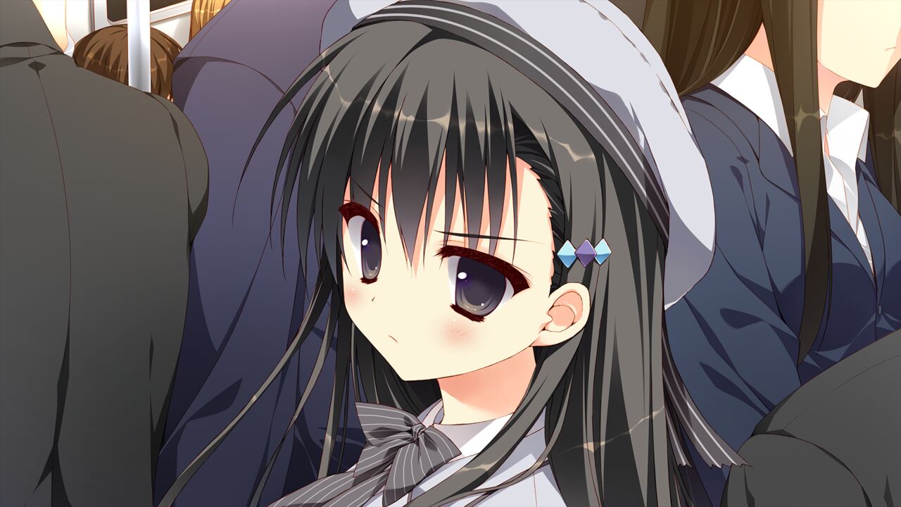 【ADV】她的圣域~官方中文[PC+安卓KR+3.4G]-95次元