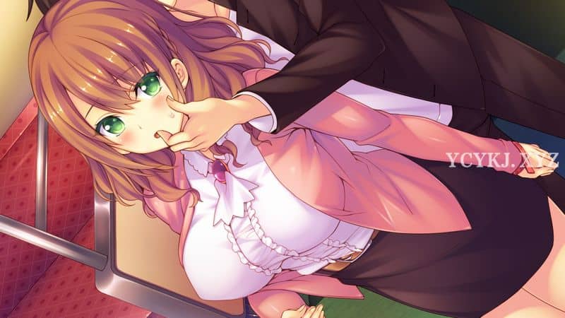 【ADV】女子校生不可能那么喜欢坏蛋~云翻汉化+CG包[PC+1.3G]-95次元