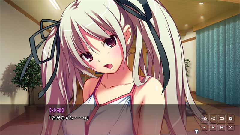 【ADV】兄妹的奇闻趣事直播！Porn Broadcast! 12 Hours of Brother-Sister Sex AI汉化[PC]