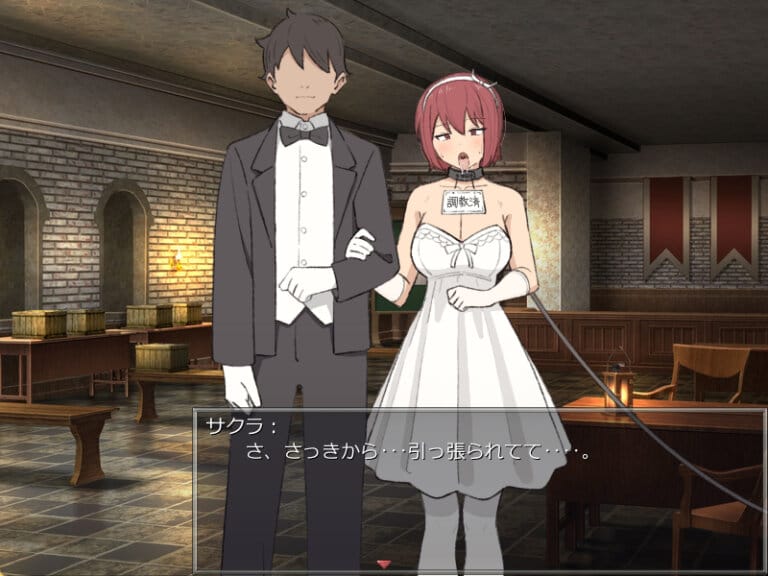 【RPG】雾之遗迹与剑客 V1.01~AI汉化[PC+1.5G]