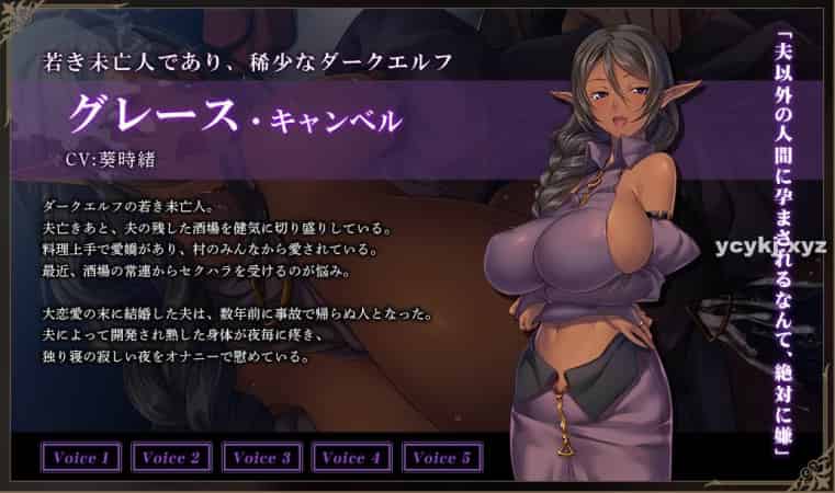 【ADV】黑兽外传~AI汉化版+全存档+全CG包[PC+2.8G]-95次元