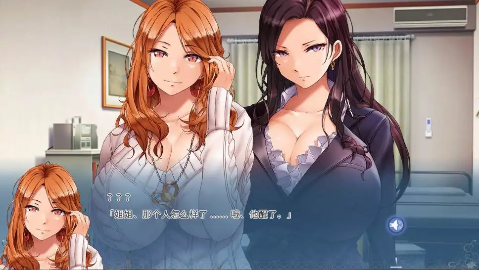 【ADV】姐妹X奴隶：Sister X Slaves~官方中文[PC+2.2G]