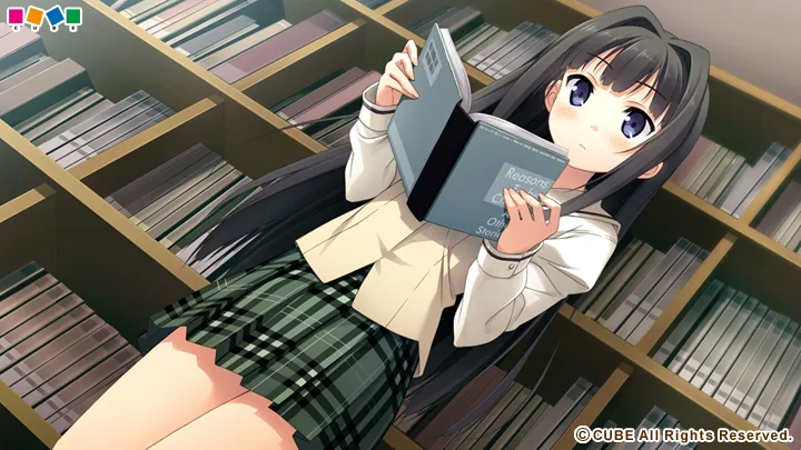 【AVG】你的日记：Your Diary~中文版+H[PC+8G]